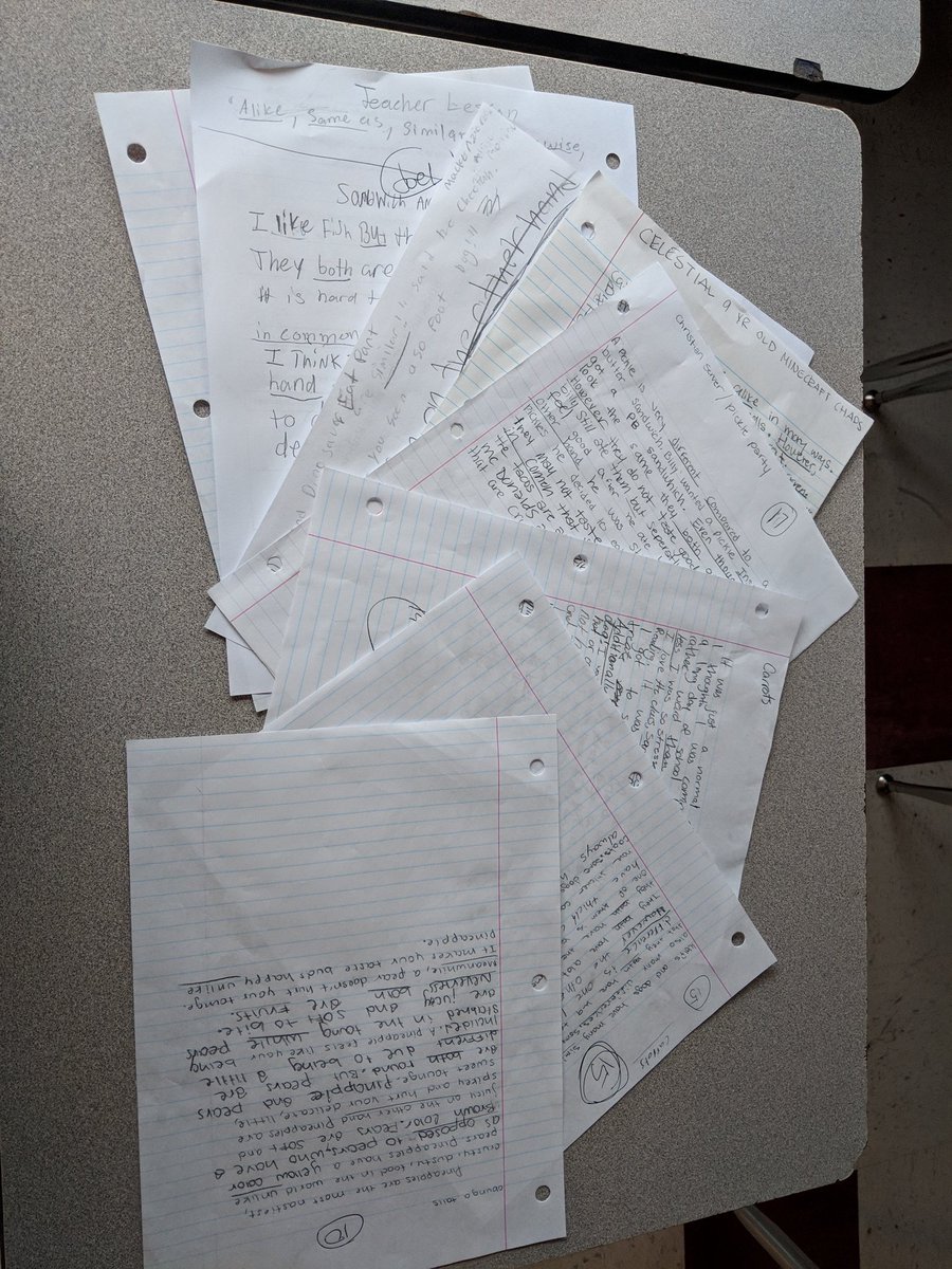 Sara Briggs tweet media