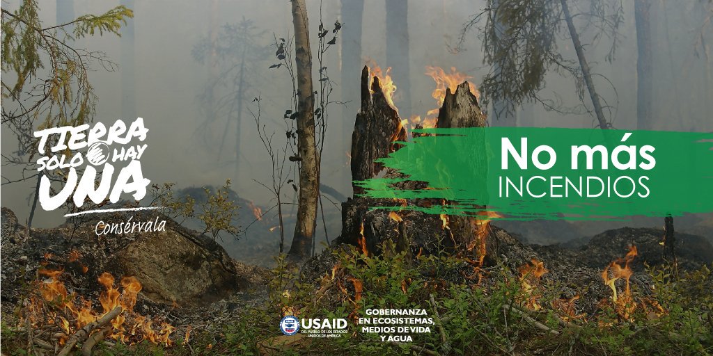 Cuando la frecuencia de los #incendiosforestales es alta, se interrumpen los ciclos naturales de los bosques y desaparecen las especies nativas. ¡No más incendios! #GEMA #TierraSoloHayUna <a href="/USAIDHonduras/">USAID Honduras</a>