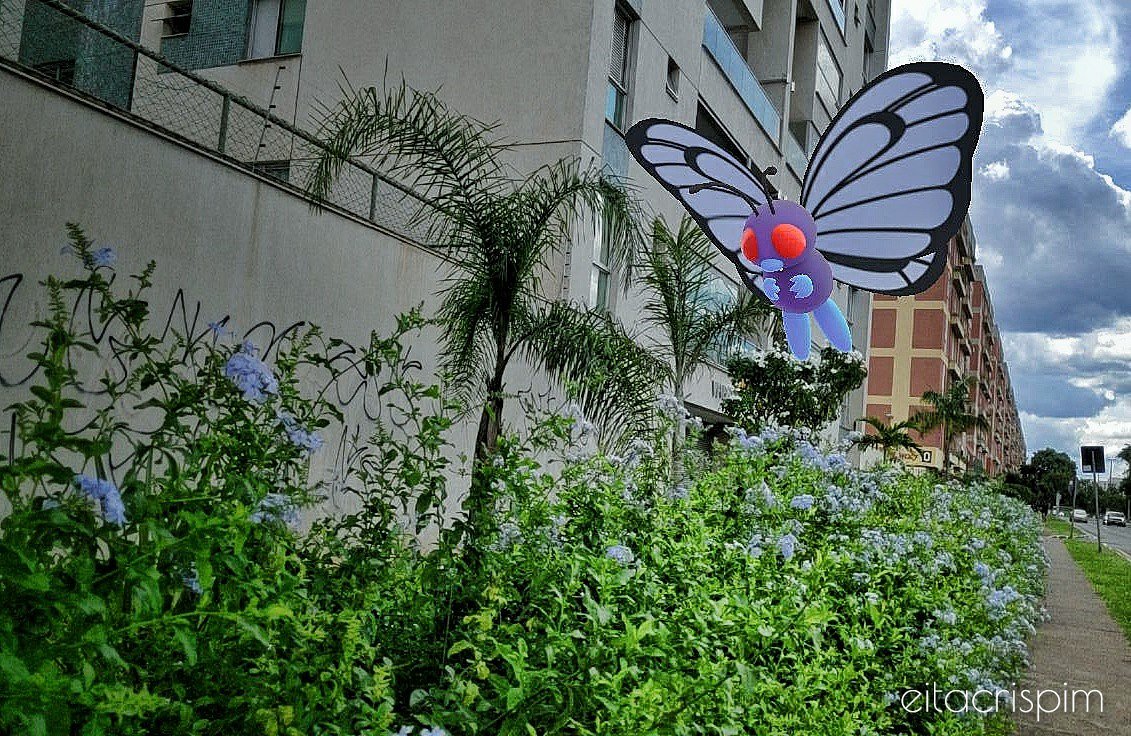 RafelFits's tweet photo. @PokemonGoApp I don't have a Caterpie shot but here is a Butterfree feeding #GOsnapshot #GamePressSnaps https://t.co/1C022jS2g0