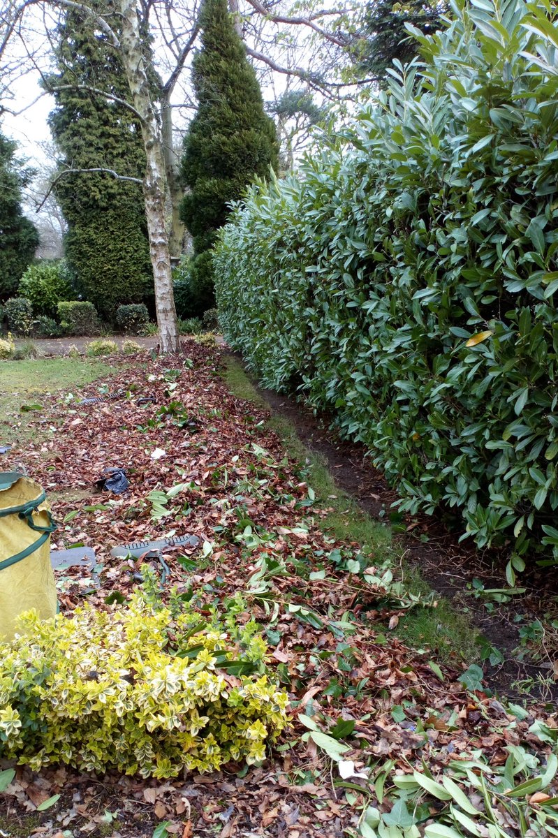 natepix1's tweet photo. New one today 😀
4hrs for starters and 18 bags on the front border alone. Another 6 borders to do and then half an acre of #Autumn2017 and #Autumn2018 to clear up on the back. Funny how the sports cars are in tip top condition 😂😂
#NiceLittleEarner
#HolidaySpends https://t.co/PaV4jVcby3