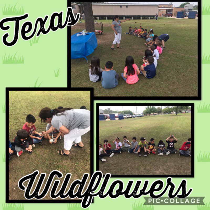 MrsMiedke's tweet photo. Thank you @HomeDepot for donating the soil &amp; seeds for our Texas Agriculture station! #TexasWeek #LeopardsShine @CFISDLieder https://t.co/QPhQDta5Yr