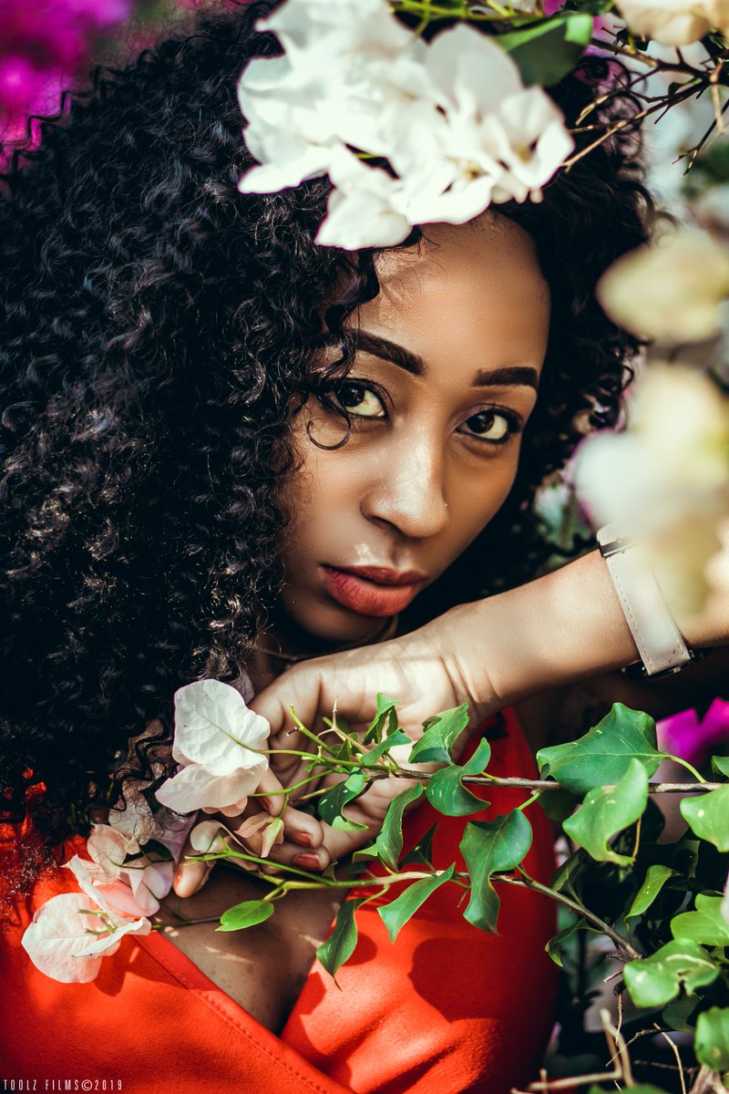 Toolz_films's tweet photo. Flourish of flowers
Quality | portraying story images | artistic images
#PhotographyIsArt #photo #portraitartistoftheyear #portraits #grading #Toolzfilms #photographylovers #model #modelingagency #jozigrams #Pretoria #madeinmyimage #art #magazine #Flowers https://t.co/02pAPWSpsM