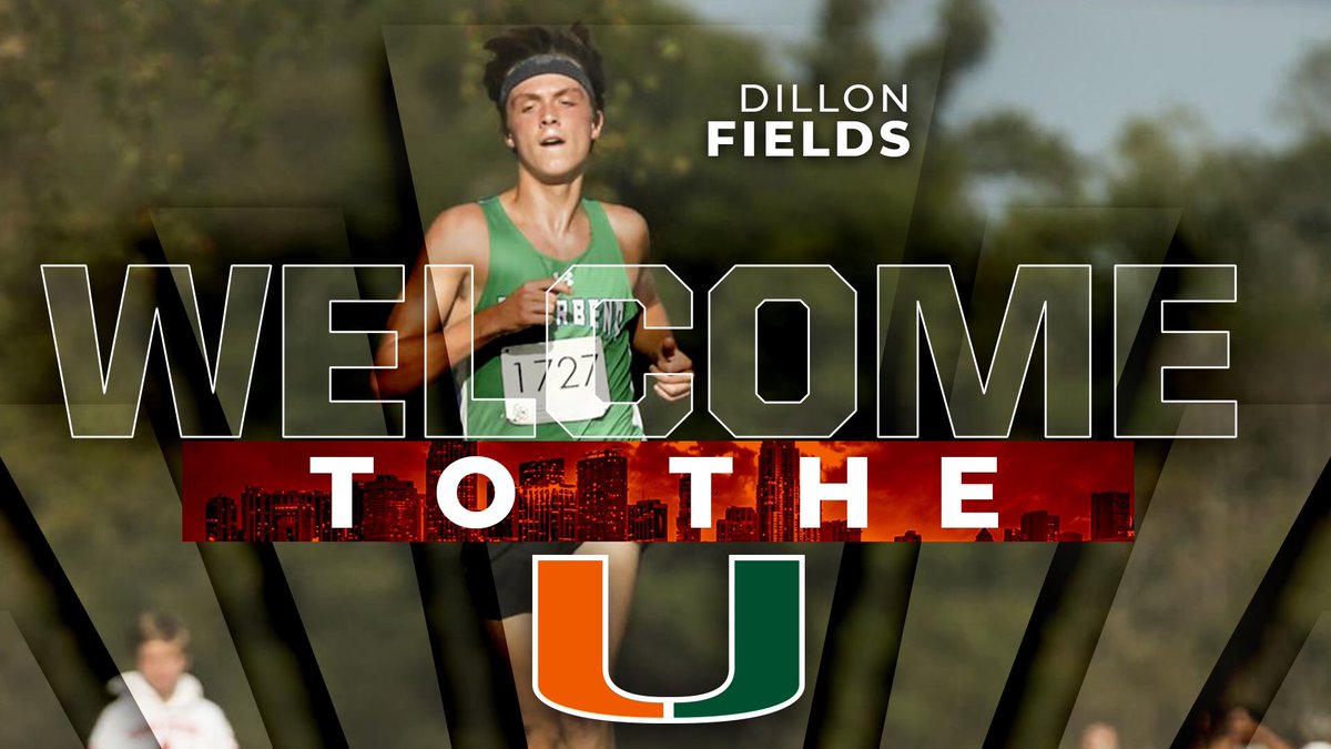 Dillon Fields tweet media