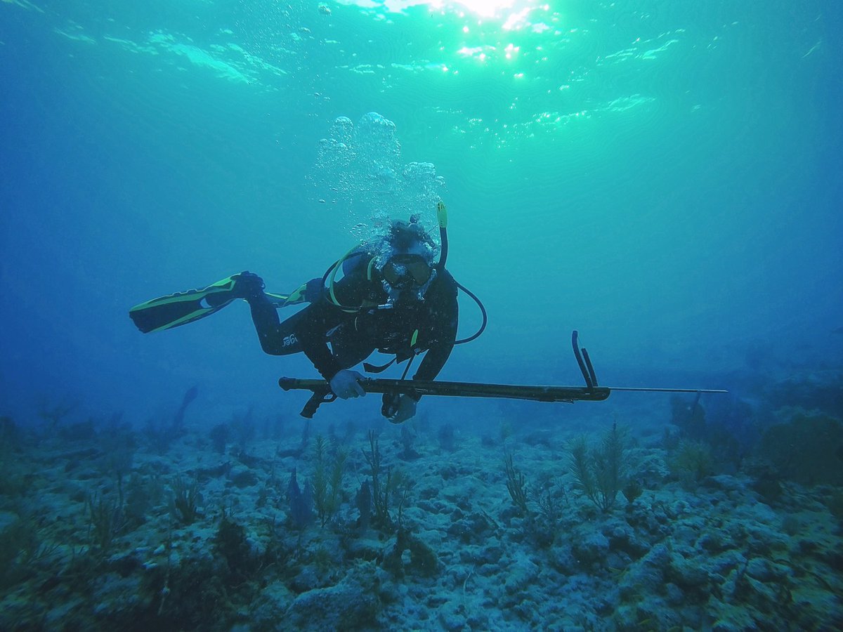 MMommie's tweet photo. Officially Advanced Open Water Scuba Divers!! #scubadiving https://t.co/UqnAL0DlDQ