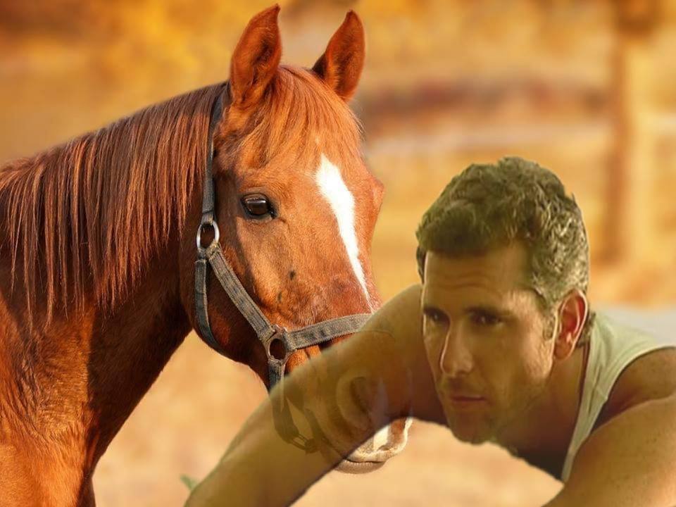 orit150's tweet photo. Feliz fin de semana mi principe @dchristianmeier @lovechrismeier @MeierFCM @oliverdog @cinmir89 @MEIER @chris_meier6 😍😍😊😊 https://t.co/jvkuX3eFKZ