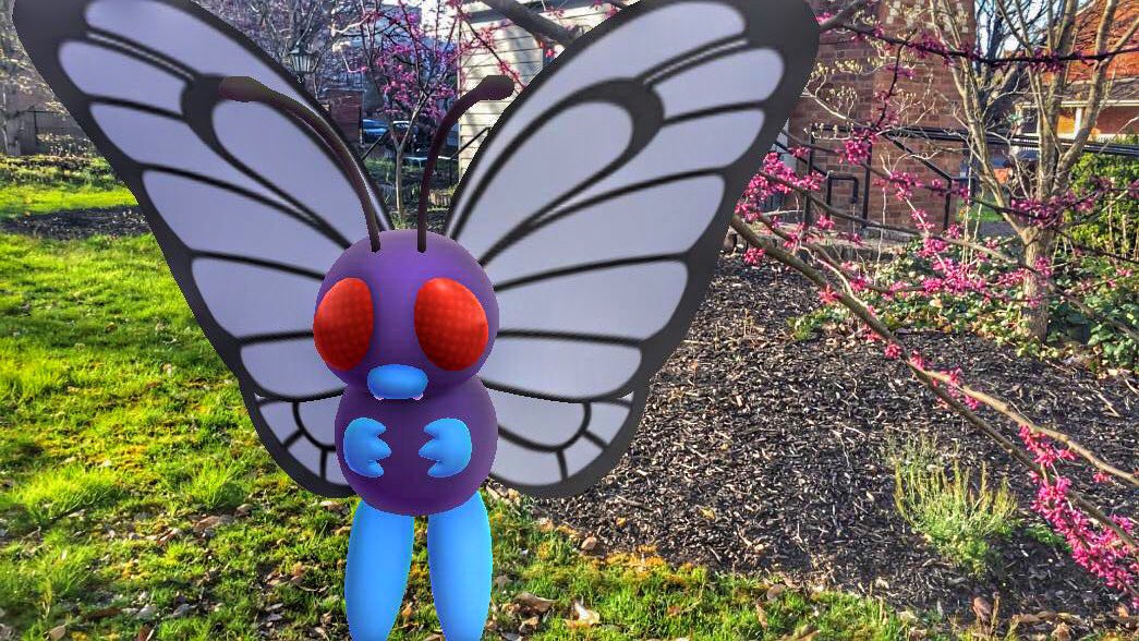 PokeGirll7's tweet photo. Butterfree 🦋

#PokemonGo #PokemonGoAR #GoSnapshot #ARPhoto #ARPlus #pokesnaps https://t.co/YKTOMuAECY