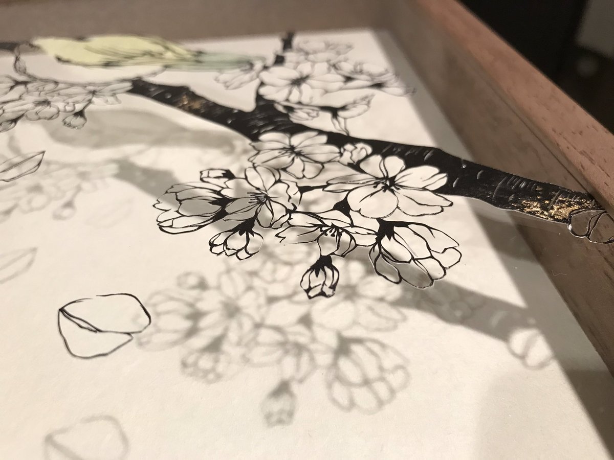 金平糖 濃黒切り絵展 ミニ自在展 Twitterren 花便り 春の訪れを伝える目白を桜の花と共に切りました 目白の羽根のや花びらの質感 木の幹の質感の差にこだわって作った作品です 切り絵 桜 メジロ