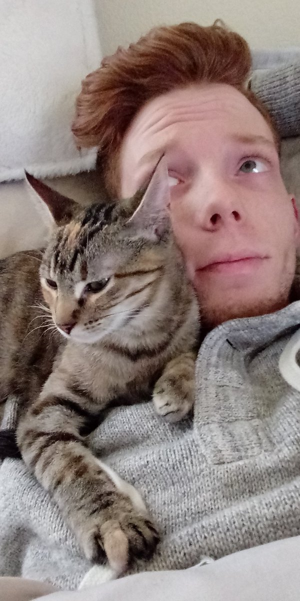 YT_Primal tweet media