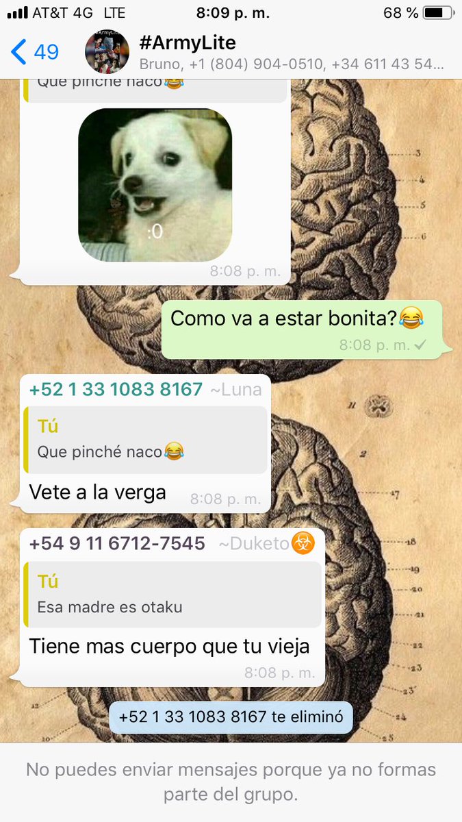 MonkeysJuan's tweet photo. Apoco no parece otaku la culera?😂 https://t.co/vSD4iGwmA8