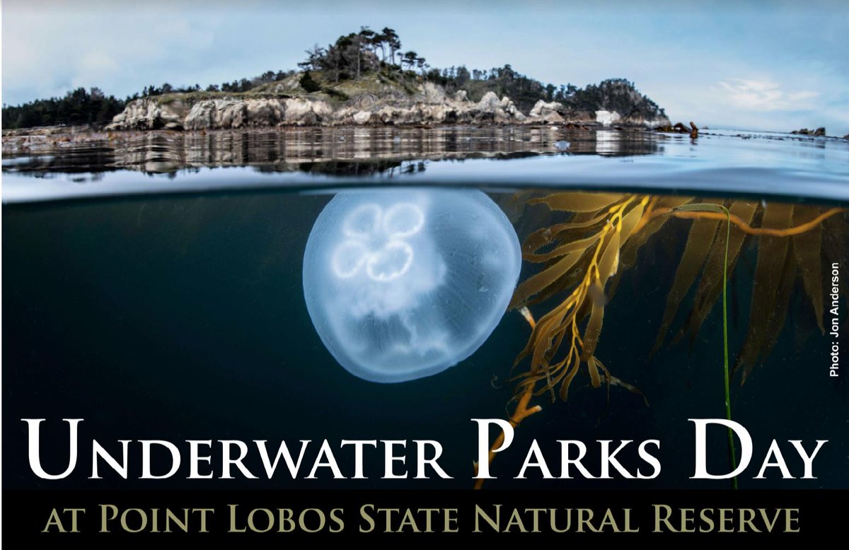 iheartptlobos's tweet photo. Join a central coast celebration of Underwater Parks Day at Point Lobos State Natural Reserve, honoring the statewide network of marine protected areas. Saturday, April 2019. https://t.co/QHET5udVEs