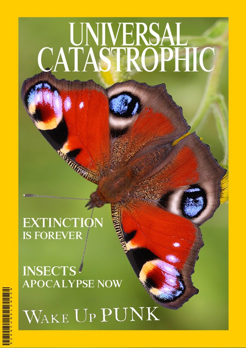 Fracking is a catastrophe. This is why <a href="/XrYouth/">Extinction Rebellion Youth</a> locked on to the entrances outside <a href="/CalClubLondon/">The Caledonian Club</a> to protest a <a href="/WEETFEvents/">WEETF Events</a> fracking conference yesterday &amp; <a href="/realjoecorre/">Joe Corré</a> defeated <a href="/INEOS/">INEOS</a> in the courts to retain the #RightToProtest. rebellion.earth . Images: <a href="/WakeUpPunk/">Wake Up Punk</a>.