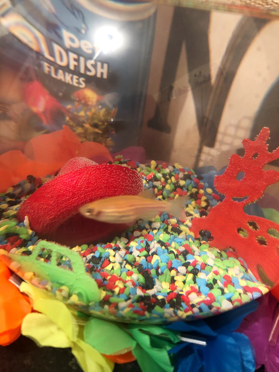 JillyCooper's tweet photo. I am swimming too fast hehe bet you can’t see me 
Jilly x https://t.co/uXtDLdhtS5