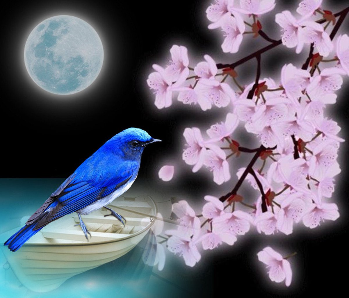 私は
　花が好きです

　　花は
　　　文字を書かない

　花は
　　言葉も話さない

　　　でも
　　　　花は枯れても

　季節には
　　奇麗な花が咲き 

　　　暖かなな
　　　　優しさを　
　　　　　届けてくれる

　　　　　～花の詩～