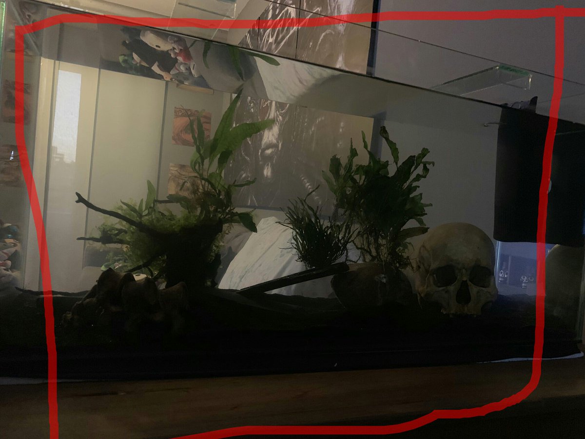 Ȼᵾɇɍvø tweet media