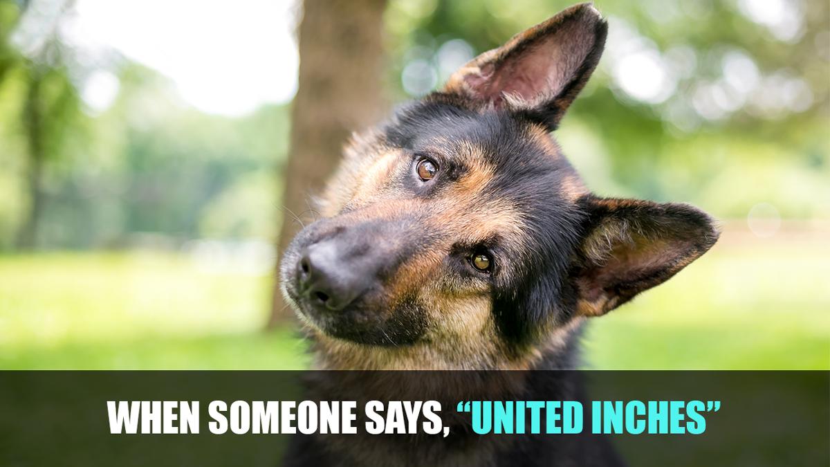 universlwindows's tweet photo. Homeowners, you owe it to yourselves to know more about this...https://t.co/AZqy8ExJos
#universalwindowsdirect #measureTwice #themoreyouknow🌈 https://t.co/sE3xfk3PjB