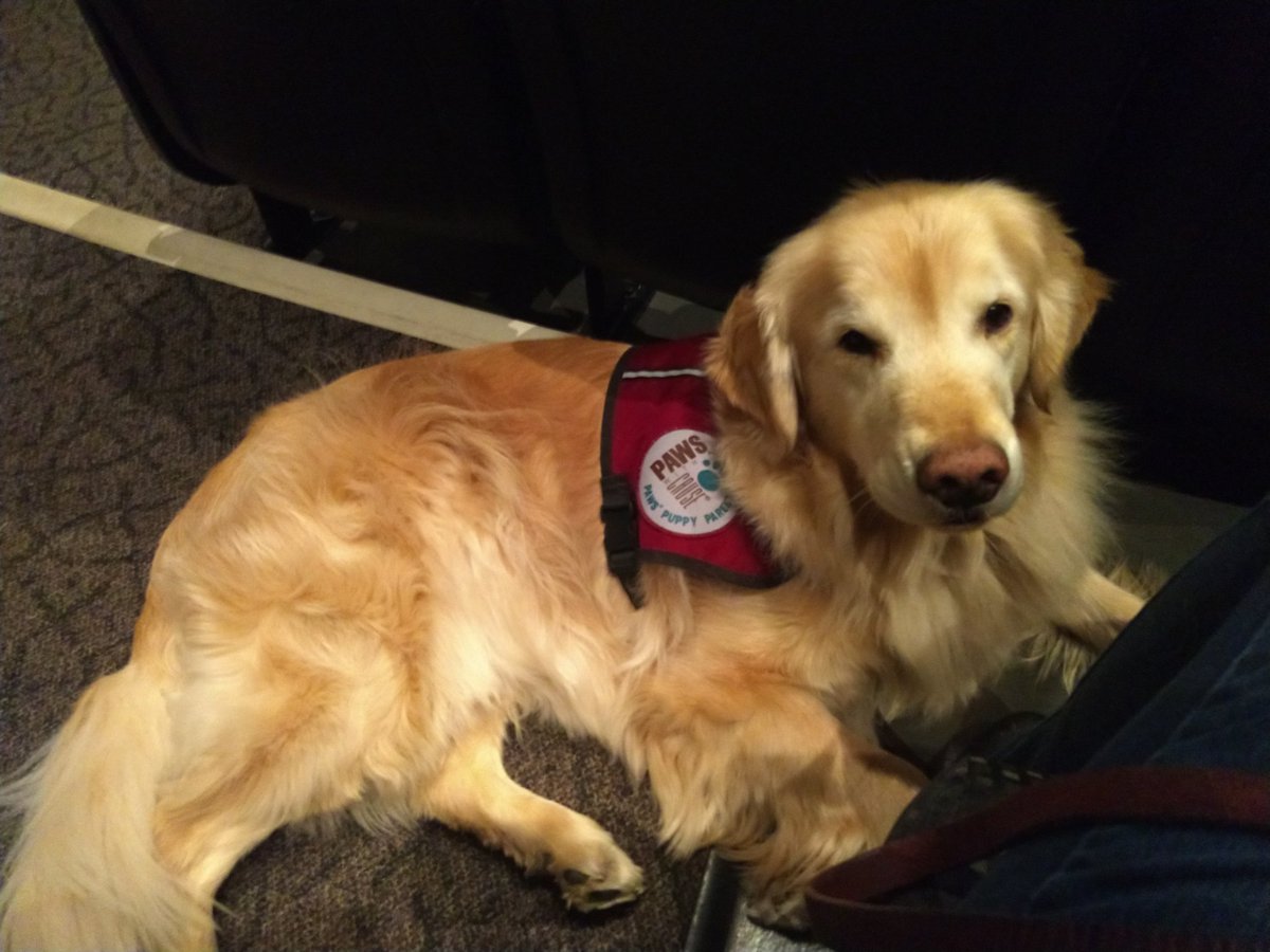 MomSyrbs's tweet photo. Ryder here at Raise the Woof supporting his two favorite dancers: Kaitlyn & Bronwyn!
#gvdt #pawswithacause https://t.co/3sfCLkuREs