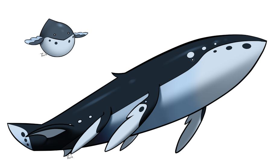Tsuin Here Is Kioran Wailmer Kioran Wailord Pokemon Fakemon ポケモン ホエルコ ホエルオー T Co Dtafbkyiaw Twitter