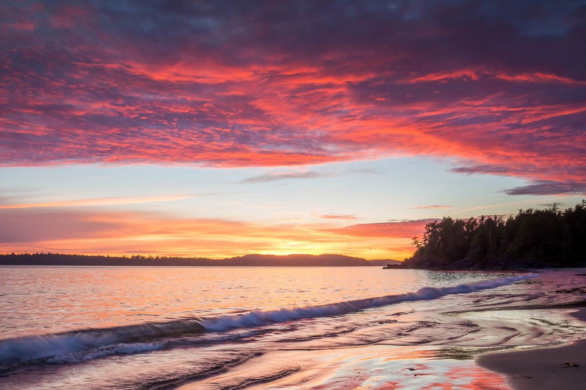 💐 April in Tofino 💐 - mailchi.mp/middlebeach/ap…