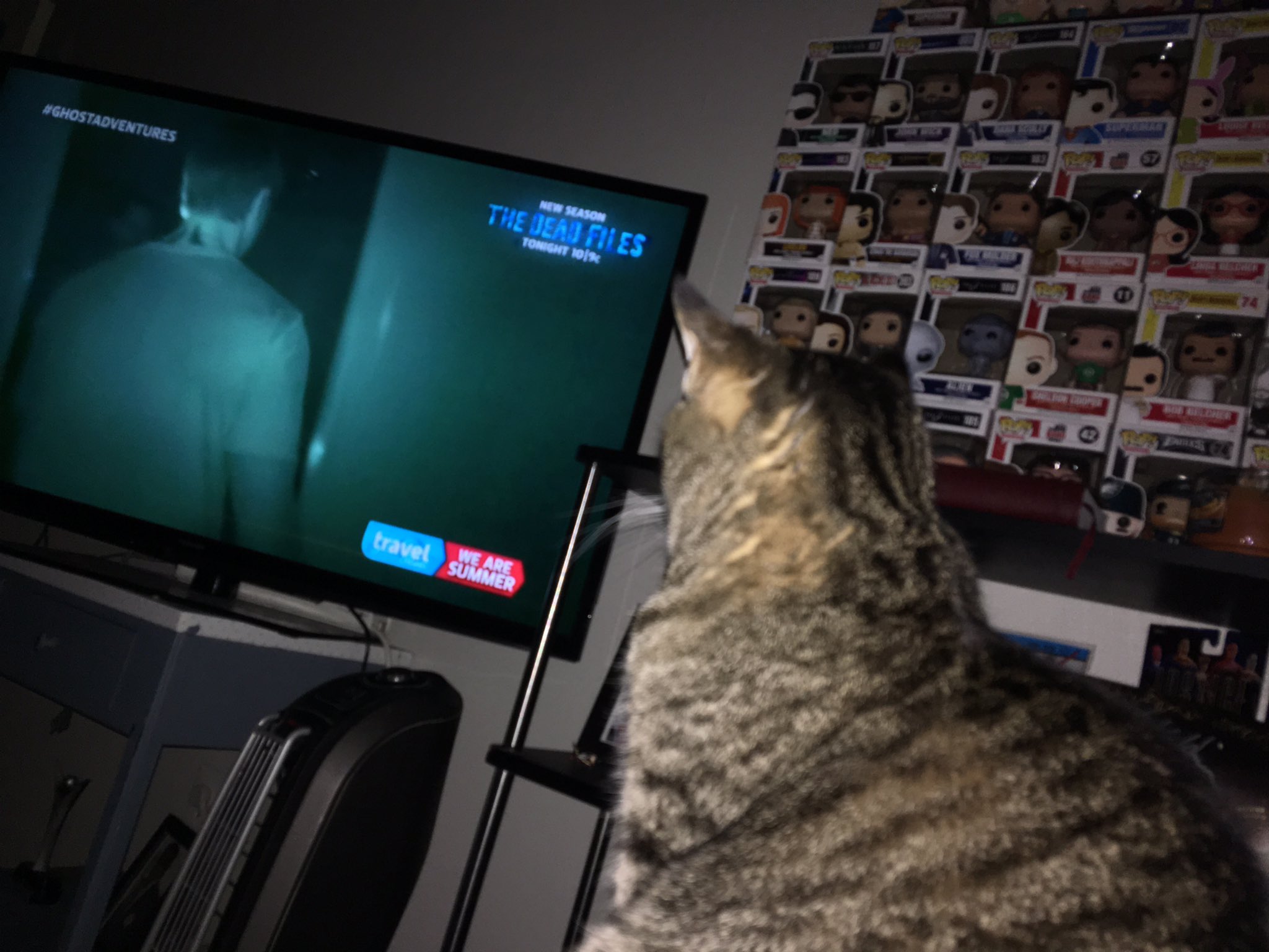  Happy Birthday from Philly. Maximus and I are you biggest Philadelphia fans. 