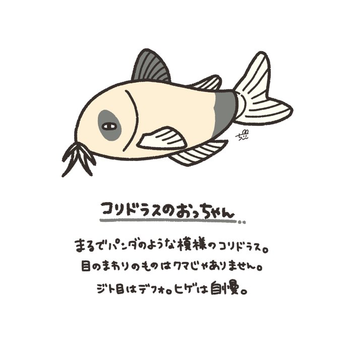 コリドラスのtwitterイラスト検索結果