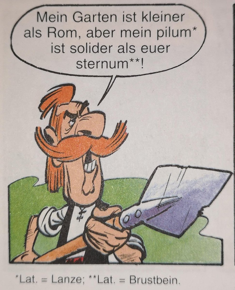 Good Asterix Panels (@asterixpanels) on Twitter photo 