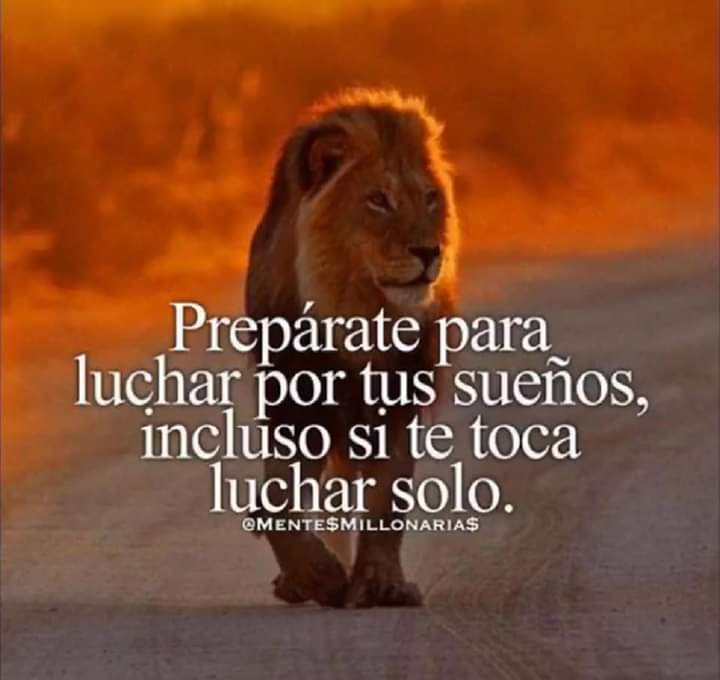 rakelito tweet media