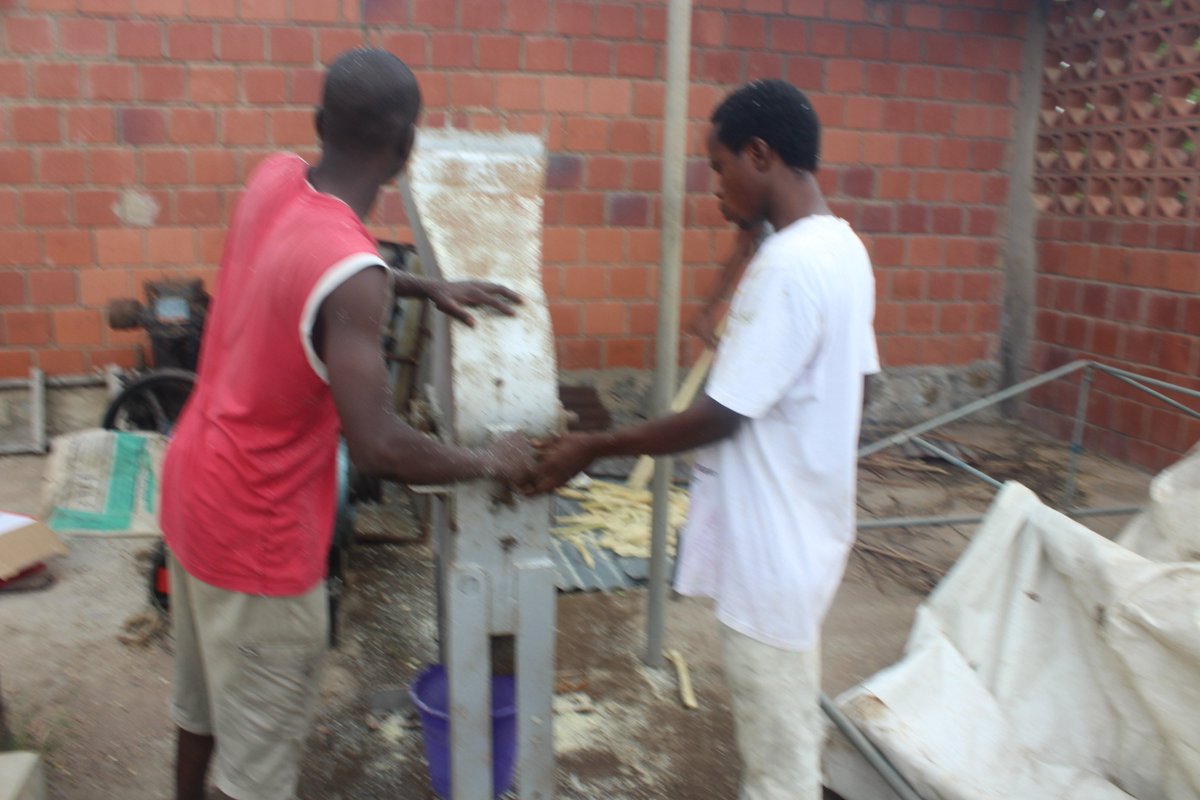 LifeBuildersNGA's tweet photo. At Lifebuilders Nigeria, a Safer planet is not just what we ADVOCATE, it what we DEDICATE on through the production #Biogel, #Bioethanol from the nutrient dense #Moringa plant. From Planting, Harvesting, Processing to #HomeUse, we are creating sustainable development. @theGEF https://t.co/bnh0ZfGIrh