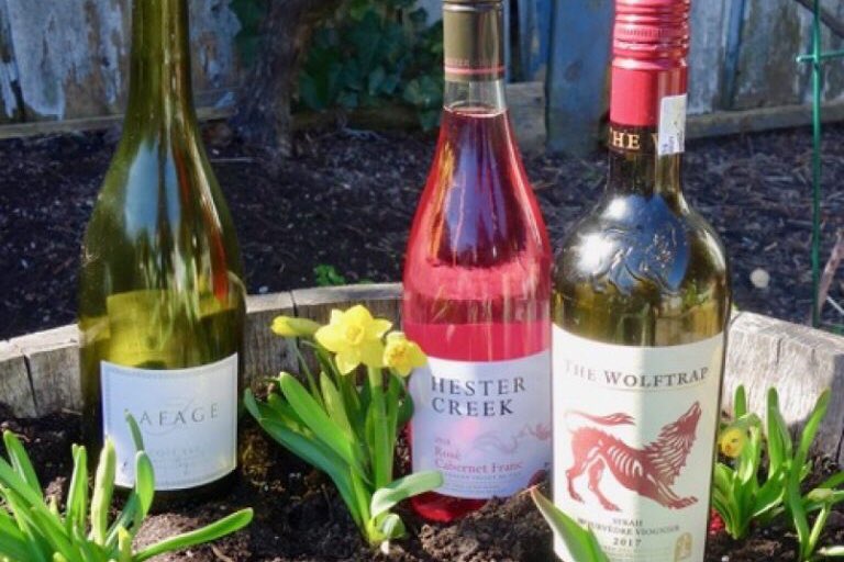 Spring has sprung and the warm sunny weather begs for some fresh wines. Wines that are floral, fruity and informal. 🌿 What are you drinking this weekend? Shop our picks! ➡️ vitis.ca/three-new-wine…