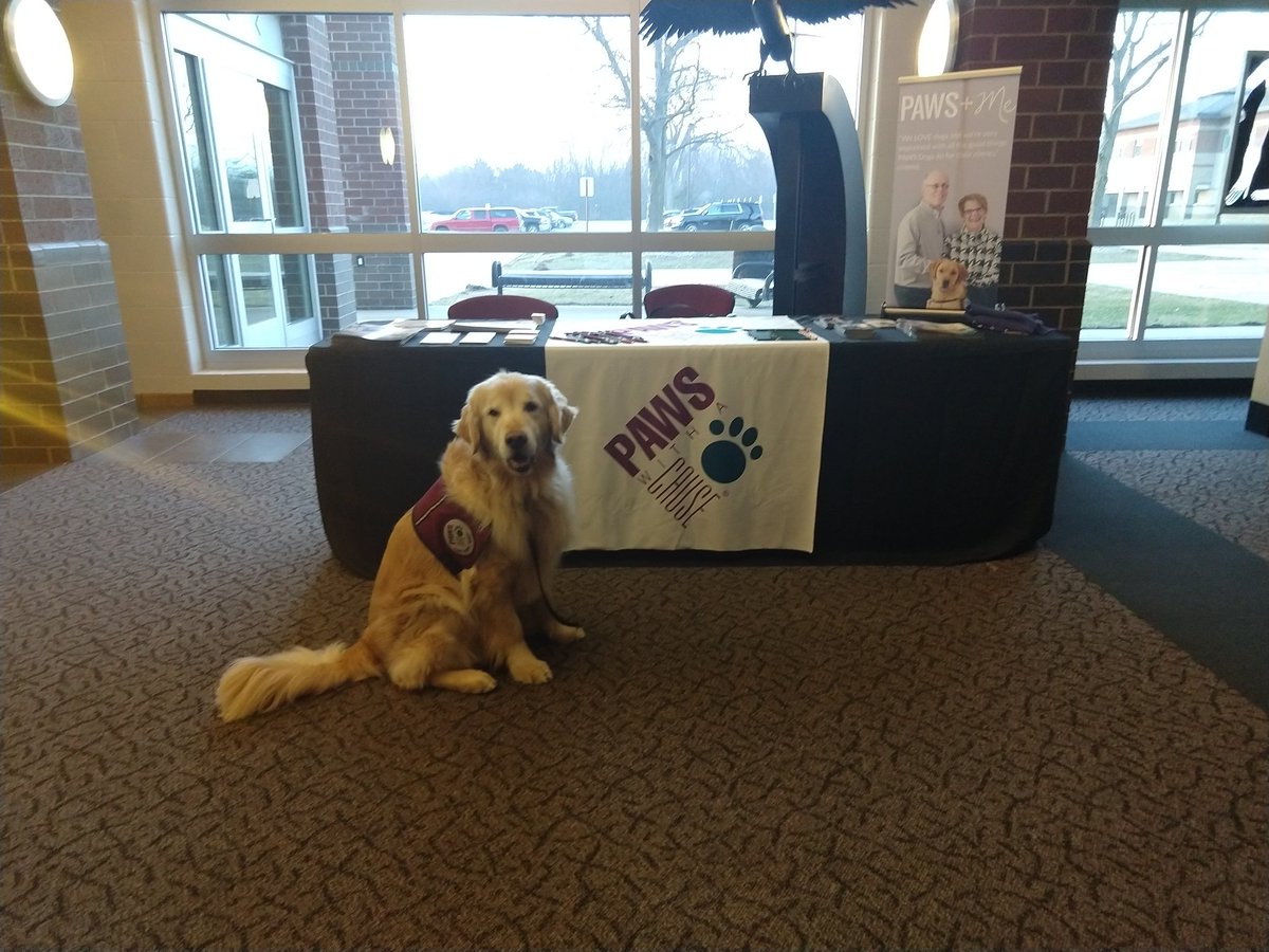 MomSyrbs's tweet photo. Come see Ryder at #GVDanceTroupe 's show Raise the Woof to support #pawswithacause! https://t.co/AH1NP83O8s