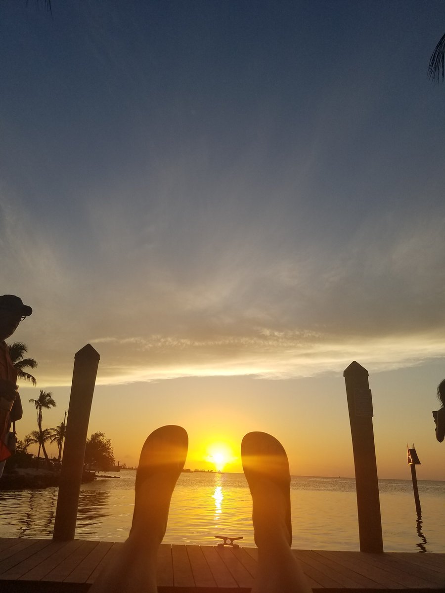 LizArnold17's tweet photo. These little fat feet will be running the 7 mile bridge run in Marathon. I'm praying that I dont get picked up by the sweeper bus. #UKRunChat #running #runchat #Training #flkeys #roadrunner #beatthatbus #7milebridgerun #Enjoytheview #marathontraining #slowrunner https://t.co/RaTHprYriH