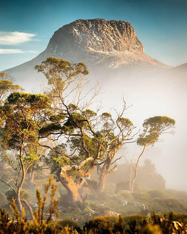 SpiritofTas's tweet photo. A sprinkling of snow on #barnbluff and moody fog make for dramatic Autumn mornings along the #overlandtrack.
๐ท@camblakephotography
#spiritedtraveller https://t.co/n6lzkjMsRR https://t.co/eWXRsbFQhG