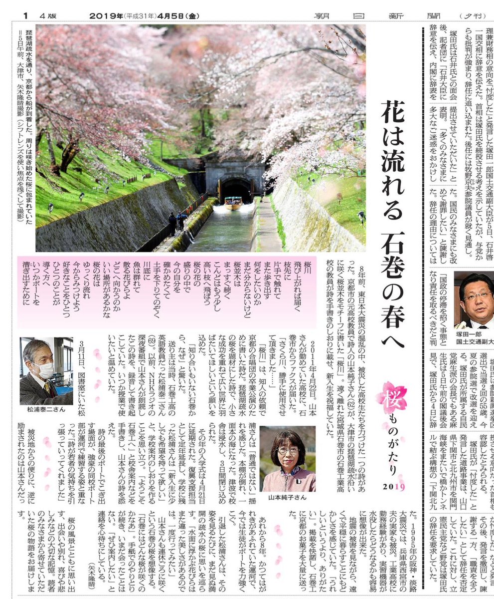桜ものがたり 2019 「花は流れる  石巻の春へ」
（４月５日「朝日新聞〈大阪〉」夕刊 １面）