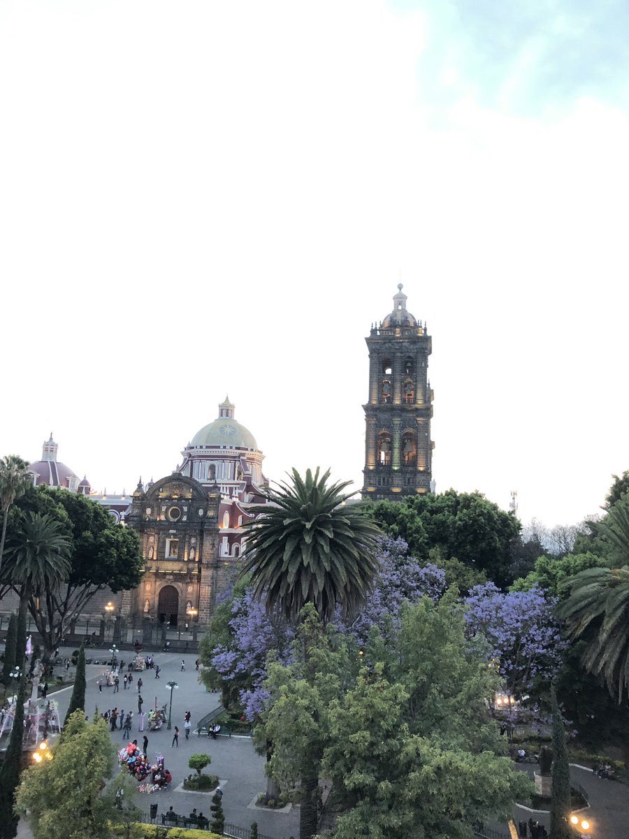 alediaz077's tweet photo. Saludos desde la bella y Tres Veces Heroíca Puebla de Zaragoza. Buen viernes. https://t.co/Cn2ttxWImi