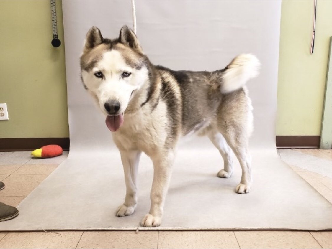 Keith Olbermann tweet media