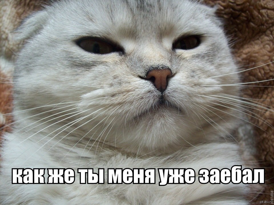 ���������� �������� � ����, ������� ������