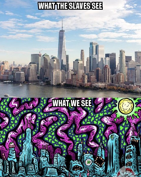 BustersDose's tweet image. #dosebusters