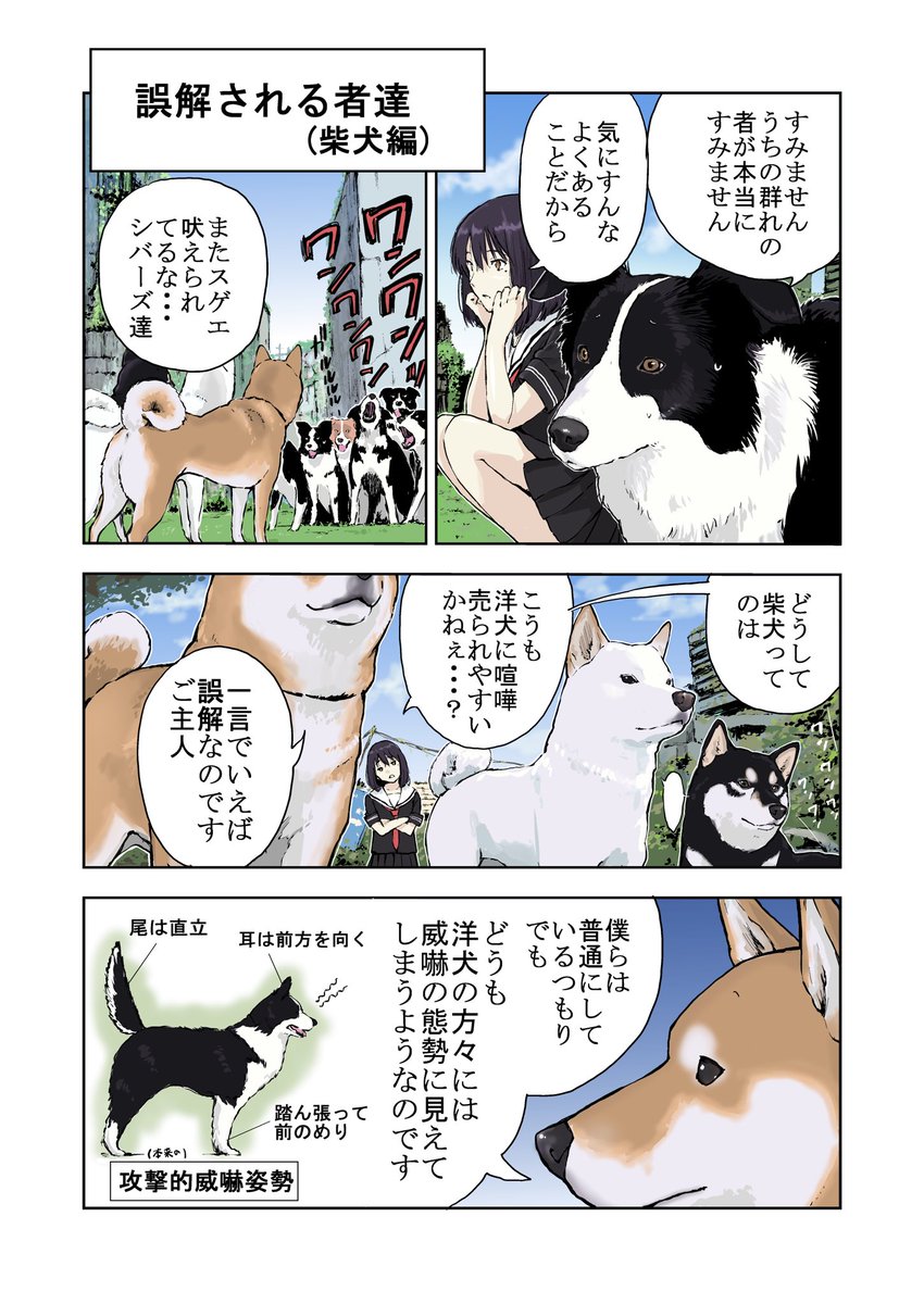 世界の終わりに柴犬と 誤解についての話 その3 