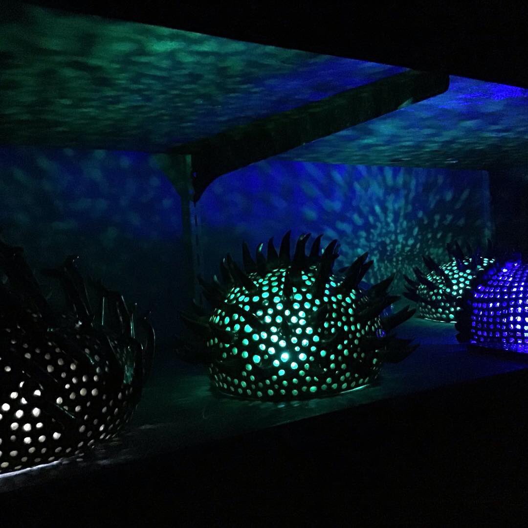firecreatures's tweet photo. A few more of my ceramic sculptures incorporating light.

Find much of my work at downtown #Nanaimo’s @ArtziStuff.

#ceramicart #localartist https://t.co/fENeqGmI4b