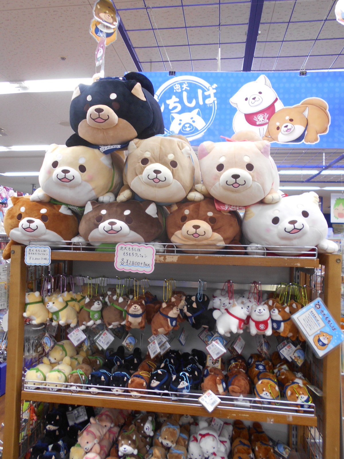 アニメイト池袋本店 キャラ情報 忠犬もちしば 関連グッズを５fフロアにて展開中アニ 品切れしていたもちもちクッション各種再入荷したアニ 5fフロアでお待ちしているアニ 忠犬もちしば