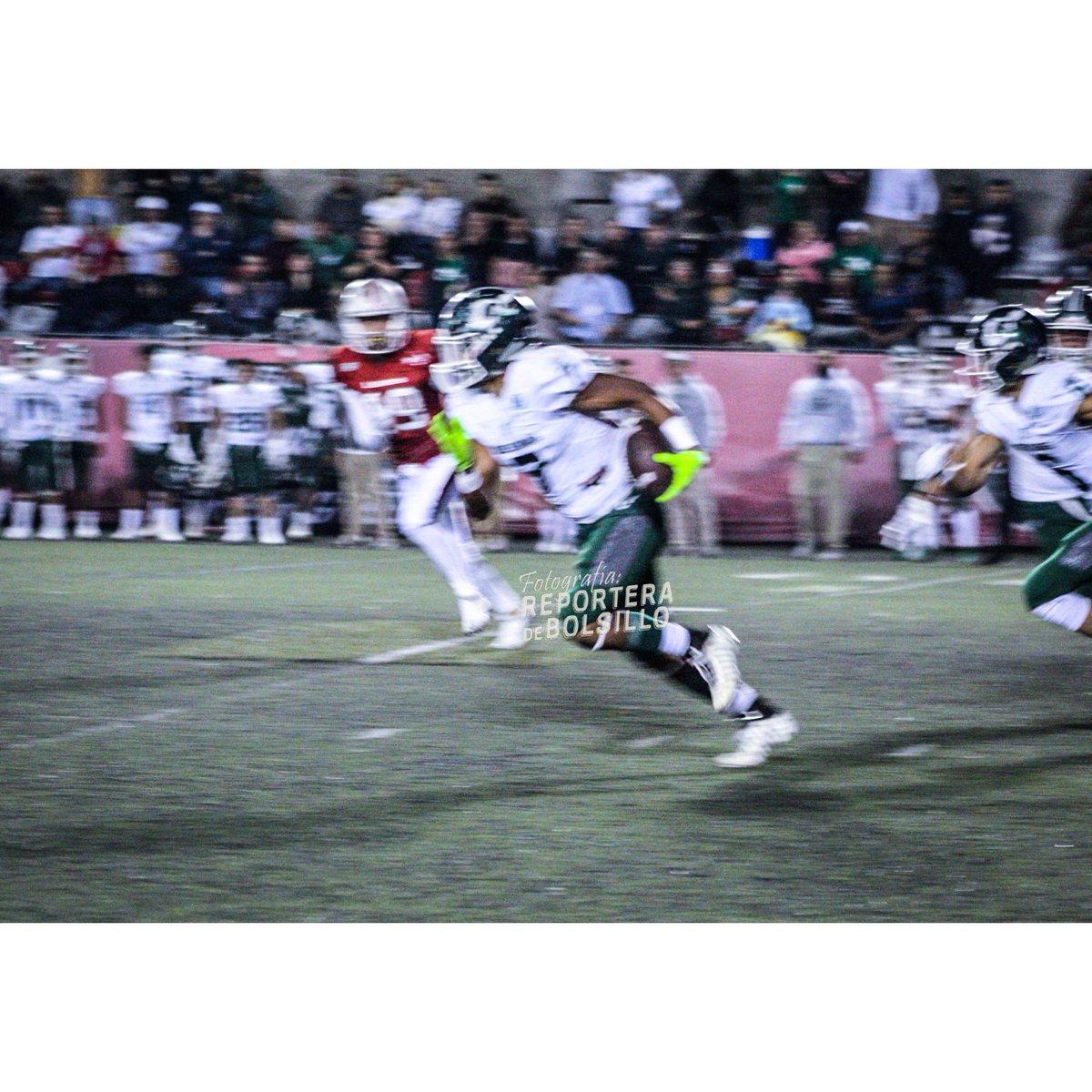 Fernanda Mayen tweet media