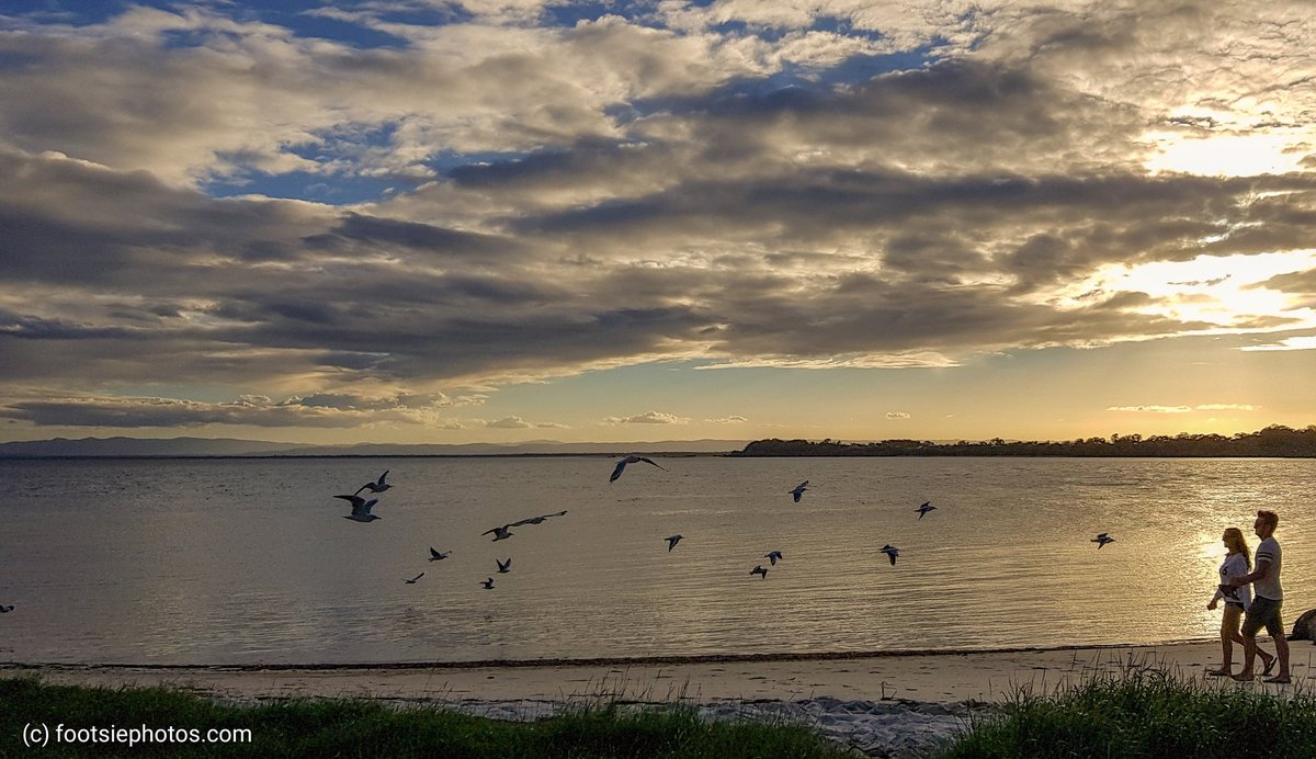 footsiephotos's tweet photo. Bribie Island sunset #bribieisland #beaches #abcmyphoto #bribie #visitmoretonbayregion #mytown #discoverqld #visitbribieisland #longman #shots_of_silhouettes #nofilter #stormhour #nature #naturephotography #snapmoreton #thephotohour
https://t.co/jadQujmsMi https://t.co/oBFyqBCWzy
