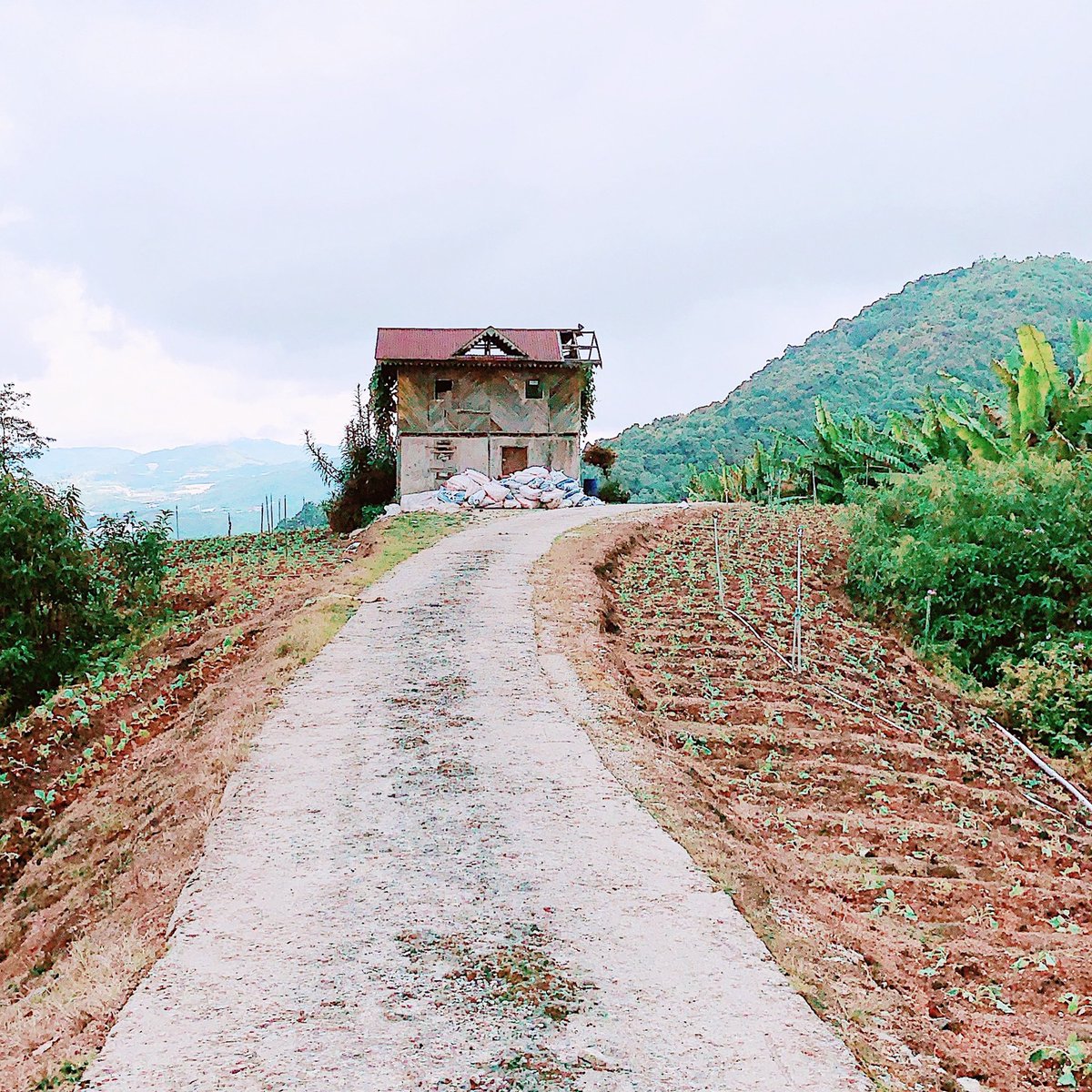 QILAQLA's tweet image. It’s that time for the year again — @queqollection Raya ‘19 RTW collection! So far... NO ONE guessed the theme right yet. 🤔 #itssosimple #dontlooktoofar #iamnotthatdeep 😂