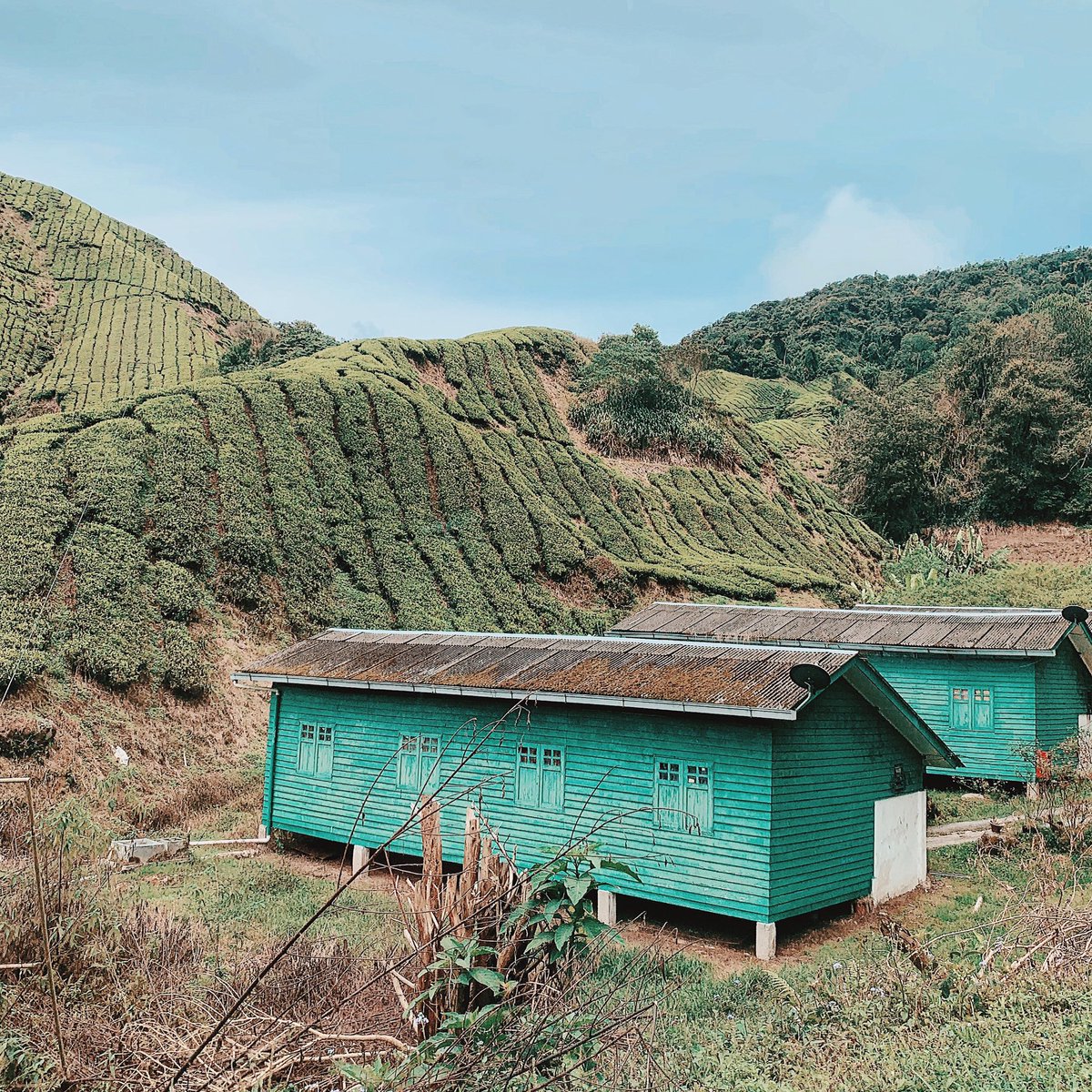 QILAQLA's tweet image. It’s that time for the year again — @queqollection Raya ‘19 RTW collection! So far... NO ONE guessed the theme right yet. 🤔 #itssosimple #dontlooktoofar #iamnotthatdeep 😂