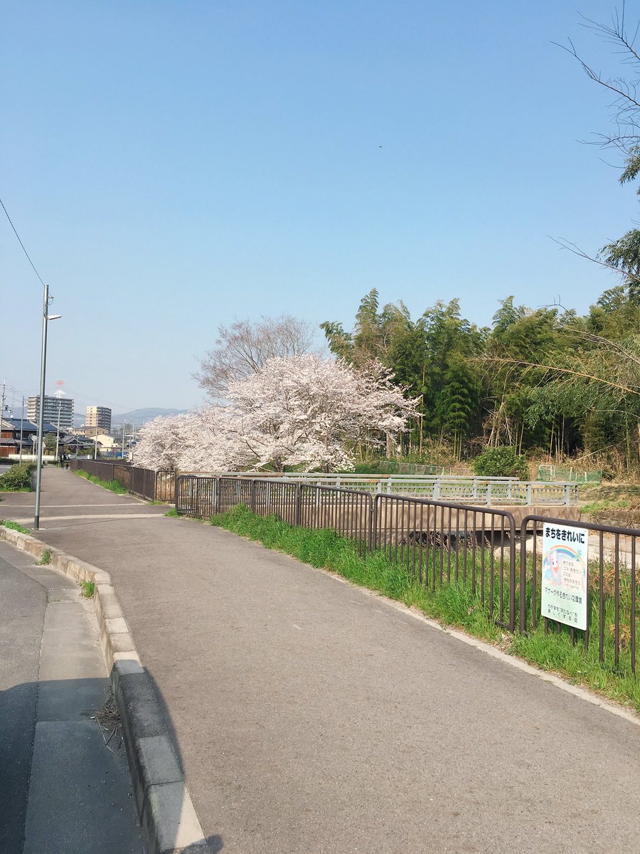 木 小学校 三山