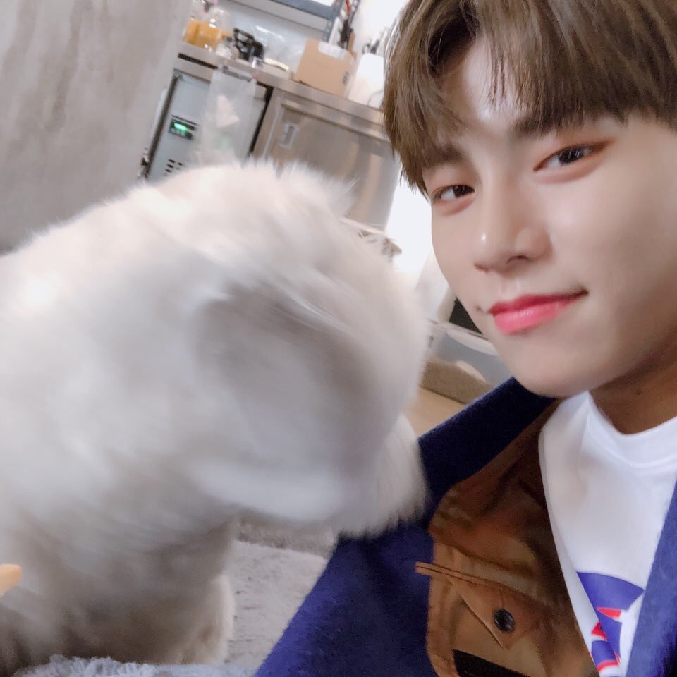 jbjszone's tweet photo. https://t.co/FMiDbhkUE4