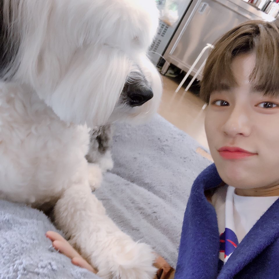 jbjszone's tweet photo. https://t.co/FMiDbhkUE4