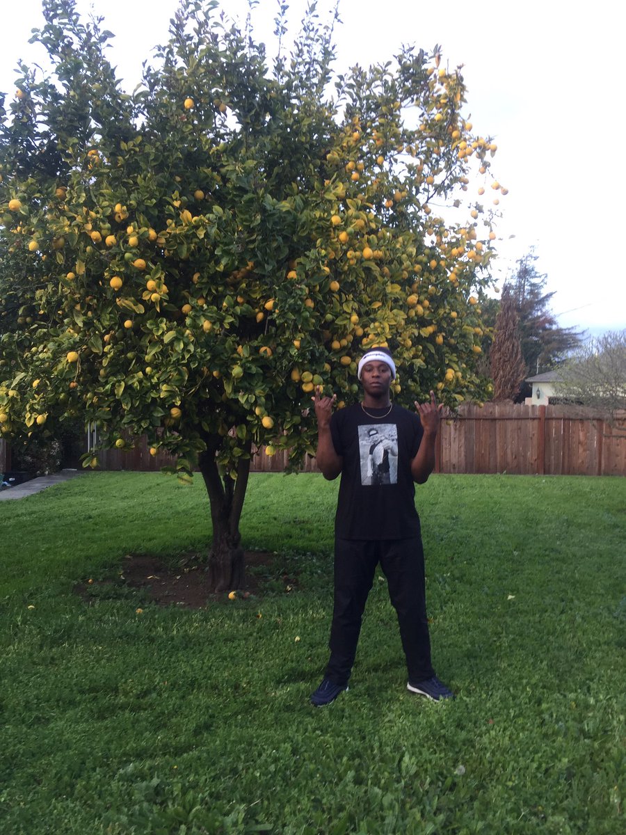 bought a lemon tree earlier today straight cash