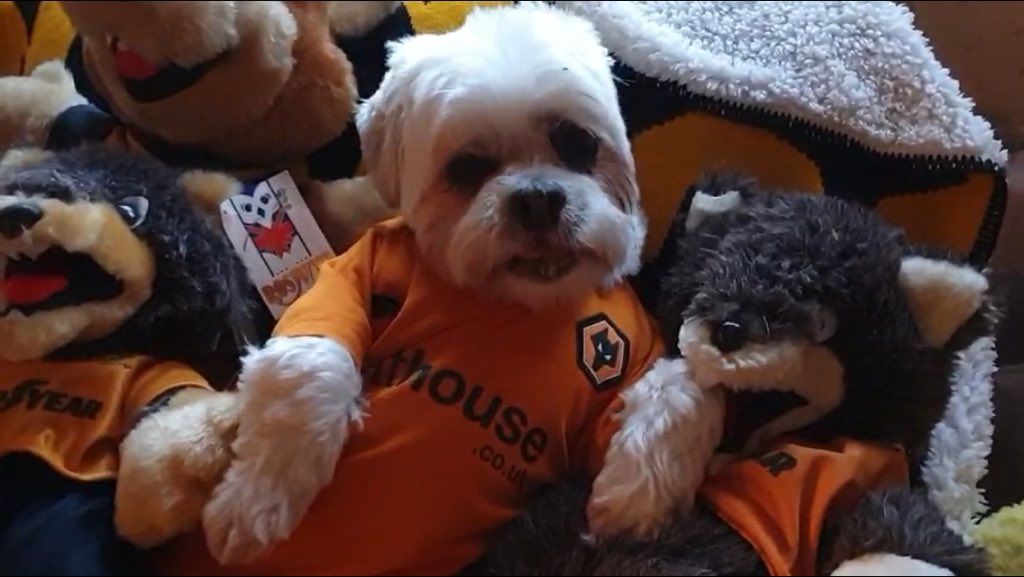 Parsley Meek tweet media