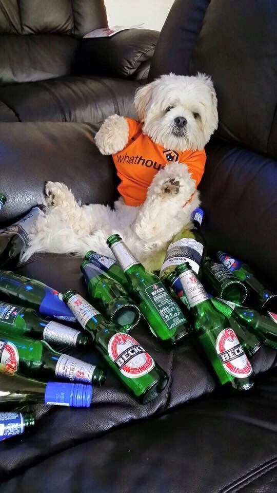 Parsley Meek tweet media