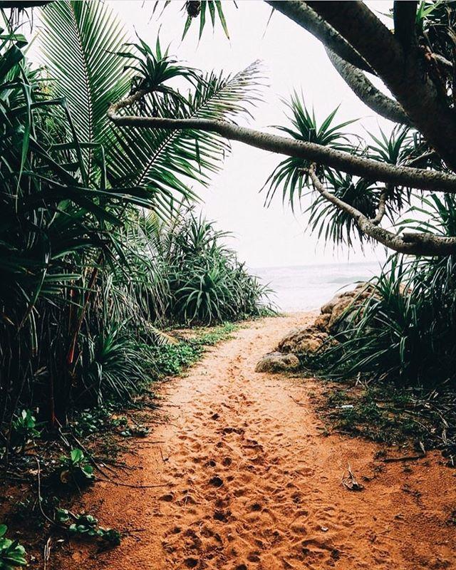 LolaAndMawu's tweet photo. Have a great weekend! ☀🌴🌊 Image by @poapoasoaps - fantastic brand of natural skin care, check them out https://t.co/vZdmNH9UkB